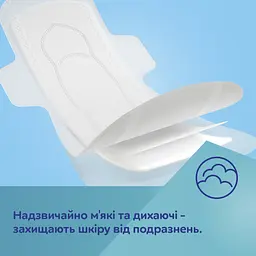 Прокладки Canpol babies післяпологові з крильцями 10 шт. (78/007) - мініатюра 4