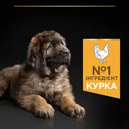 Сухий корм для цуценят великих порід Purina Pro Plan Large Robust Puppy, з куркою, 12 кг (12375805) - мініатюра 6