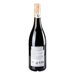 Вино Kiwi Cuvee Шираз, сухе, червоне, 12,5%, 0,75 л - мініатюра 4