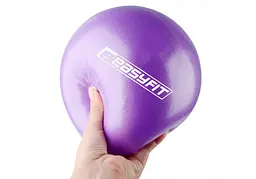 М'яч для пілатесу EasyFit 25 см фіолетовий (EF-1221)