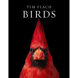 Birds. Photographs - Тім Флеч - мініатюра 1