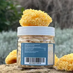 Тремела Лісовик Tremella fuciformis 120 капсул - мініатюра 2
