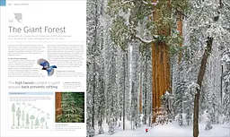 Natural Wonders of the World - мініатюра 2