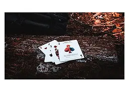 Карти гральні Cartamundi Ellusionist Peak 15 (limited edition) (54832) - мініатюра 5