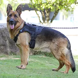 Шлейка для собак Vest, тактичний жилет з ручкою і системою MOLLE, регульований, Чорний M - мініатюра 6