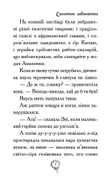 Рятівні зооісторії. Самотнє левенятко. Книга 1 - Амелія Кобб - мініатюра 4