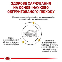 Сухий дієтичний корм Royal Canin Urinary S/O Aging 7+ для собак старше 7 років при захворюваннях нижніх сечовивідних шляхів, 1,5 кг (1271015) - мініатюра 5