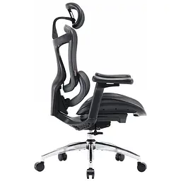 Офісне крісло Sihoo DORO C300L сітка, чорне (DORO-C300L-A3-101) - мініатюра 5