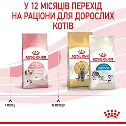 Сухий корм для кошенят Royal Canin Kitten м'ясо птиці та рис 0.4 кг - мініатюра 6