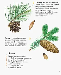Ліс. Енциклопедія дошкільника - Юлія Каспарова - мініатюра 7