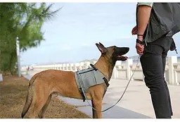 Шлейка для собак Truelove TLB2251 світловідбивна, з водонепроникної тканини Cordura, регульована Сірий, XL - мініатюра 5