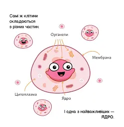 Генетика - мініатюра 9