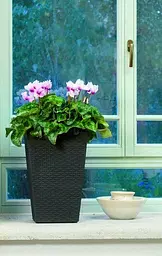 Горщик для рослин Keter Rattan Planter S (small) 23,6 л - мініатюра 2