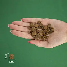 Сухий корм для стерилізованих котів Bravery Chicken Adult Cat Sterilized з куркою 600 г - мініатюра 6