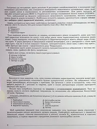 ЗНО 2024. Біологія. Комплексна підготовка - мініатюра 3