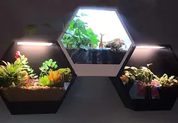 Підсвічування настінне Brille декоративне з рослинами BL-993W/10W CW WH LED - мініатюра 9