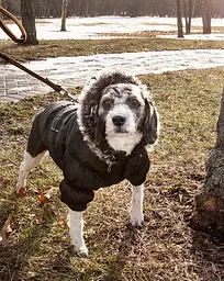 Куртка-парка Metallic Fashion Pet для собак - мініатюра 8