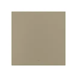 Розумний вимикач світла на 1 канал ZigBee Akubela SM-1G Gold (00-00002839)