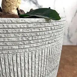 Кашпо Engard Оттава 35х35x34 см (GA70-1) - мініатюра 2