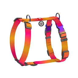 Шлея для собак WAUDOG Nylon Recycled анатомічна H-подібна з QR паспортом, градієнт, L помаранчева (52884)