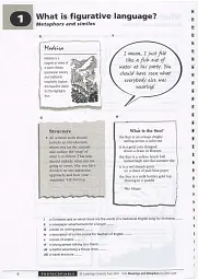 Meanings and Metaphors Book - Джилліан Лазар - мініатюра 7