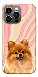 TPU чохол Demsky Pastel spitz для Apple iPhone 13 Pro (6.1")
