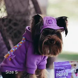 Панама для собак Hat-Dog Лавандова вельвет (XL) - мініатюра 5