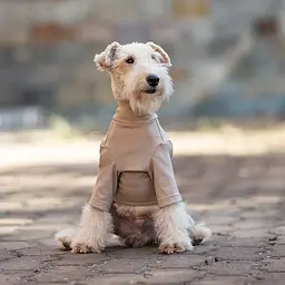 Базовий комбінезон/піжама для собак V.PET.B.R. Dog Jumpsuit CF36 Khaki - мініатюра 3