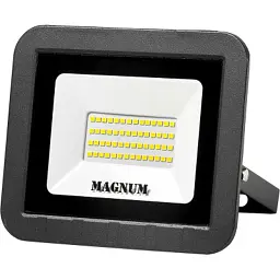 Прожектор MAGNUM FL ECO LED 50 Вт slim 6500K IP65 (90011661)