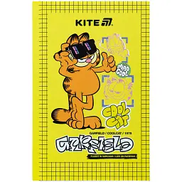 Книга записная Kite Garfield GF25-199 А6 80 листов клетка (GF25-199)