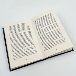 Сон короля - Галина Матвєєва | Видавництво Старого Лева, книга українською, нова, тверда - мініатюра 3