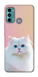 Чохол Demsky Pastel kitty для Motorola Moto G60