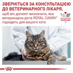 Вологий корм для дорослих котів з хронічною нирковою недостатністью Royal Canin Renal with chicken Feline, з куркою, 85 г - мініатюра 4