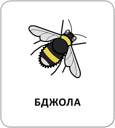 Картки з піктограмами. Тварини - мініатюра 2