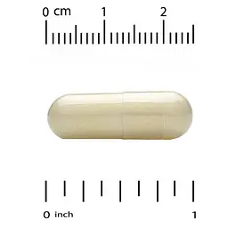 Поддержка печени и желчного Advanced Liver Support 90 капсул CGN vit0005146 - миниатюра 3