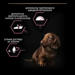 Сухий корм для цуценят дрібних порід із чутливою шкірою Purina Pro Plan Small & Mini Puppy Sensitive з лососем 3 кг 12272619 - мініатюра 5