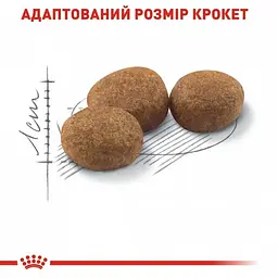 Сухий корм для дорослих стерилізованих кішок та кастрованих котів Royal Canin Sterilised 10 кг - мініатюра 3