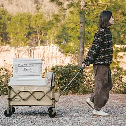 Складаний візочок Naturehike CNK2350JJ012, бежевий - мініатюра 8