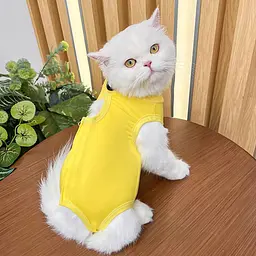 Одяг для котів після операції Holley Yellow L