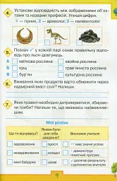 Мої досягнення. 3 клас. Тематичні діагностичні роботи з інтегрованого курсу "Я досліджую світ" - мініатюра 5