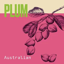 Шампунь Aussie Aussome Volume, для об'єму волосся, 300 мл - мініатюра 5