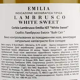 Вино ігристе Terre Cevico Cerbio Lambrusco Emilia IGT White Sweet, 8%, 0,75 л - мініатюра 3