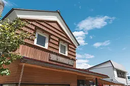 Шипи на паркан Kinzo Garden 50х4.5х1.7 см 10 шт. - мініатюра 12