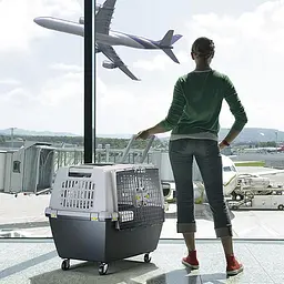 Stefanplast Gulliver Touring IATA Переноска для подорожей тварин вагою до 25 кг 80х58х62 см - мініатюра 5