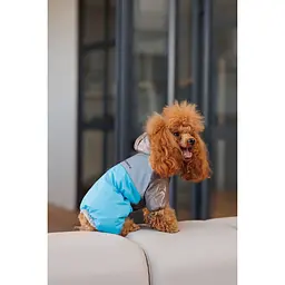 Комбінезон для собак Pet Fashion Сharlie S блакитний - мініатюра 4