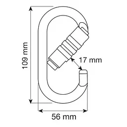 Карабін Camp Oval Pro 2Lock Silver (1060-1878) - мініатюра 2
