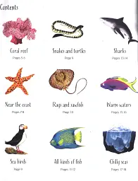 1000 Things Under the Sea - мініатюра 3