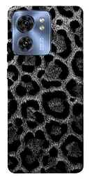 TPU чохол Demsky Black leo для Motorola Edge 40