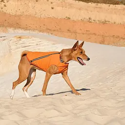Жилет Pet Fashion E.Vest для собак, розмір L, помаранчевий - мініатюра 8