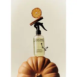 Парфумований спрей для дому Sister`s Aroma Pumpkin Spice 230 мл - мініатюра 2